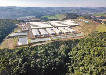 Brasil y República Dominicana fortalecen comercio de productos cárnicos