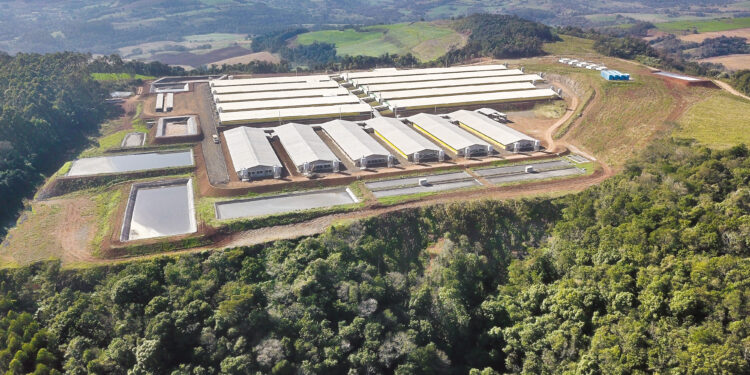 Brasil y República Dominicana fortalecen comercio de productos cárnicos