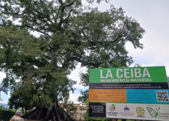 Acción Verde denuncia manejo irregular en La Ceiba