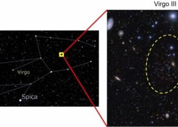 Darwin y Wallace tenían razón: Inteligencia Artificial resuelve debate histórico sobre mariposas 