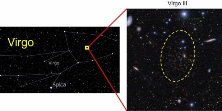 Darwin y Wallace tenían razón: Inteligencia Artificial resuelve debate histórico sobre mariposas