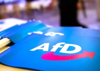 Asociación de periodistas boicoteará a ultraderechista alemana AfD