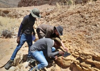 Cambios en el nivel del mar moldearon la vida temprana en la Tierra