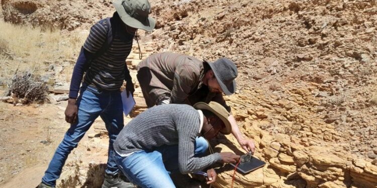 Cambios en el nivel del mar moldearon la vida temprana en la Tierra