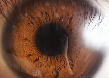 La nueva moda: Vender el iris por criptomonedas