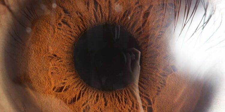 La nueva moda: Vender el iris por criptomonedas