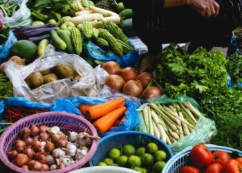 El consumo de carne y lácteos impactan en el calentamiento global