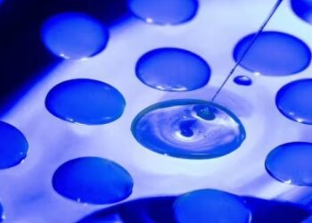 Células que devoran otras células: el nuevo eslabón perdido evolutivo