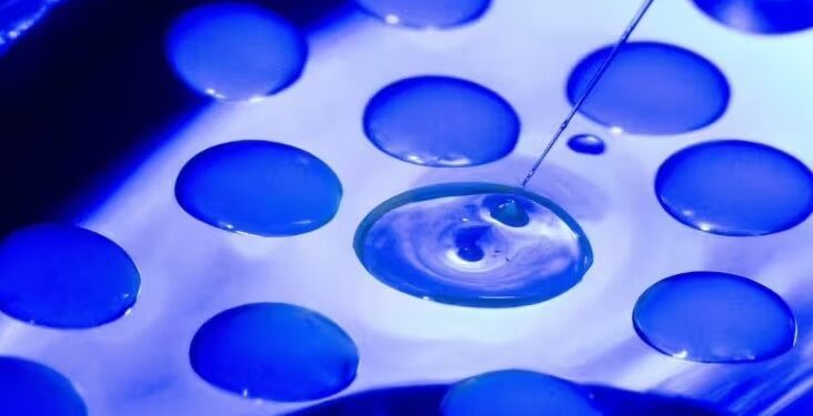 Células que devoran otras células: el nuevo eslabón perdido evolutivo