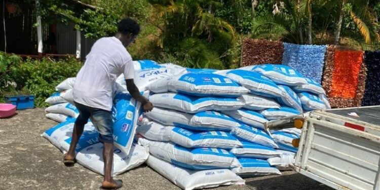 HANOMA ARECA denuncia estafa por parte de desaprensivos