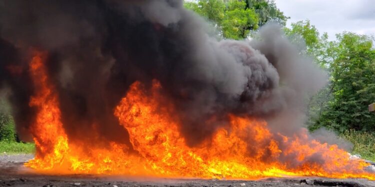 Procuraduría General quema más de 1,346 kilogramos de drogas