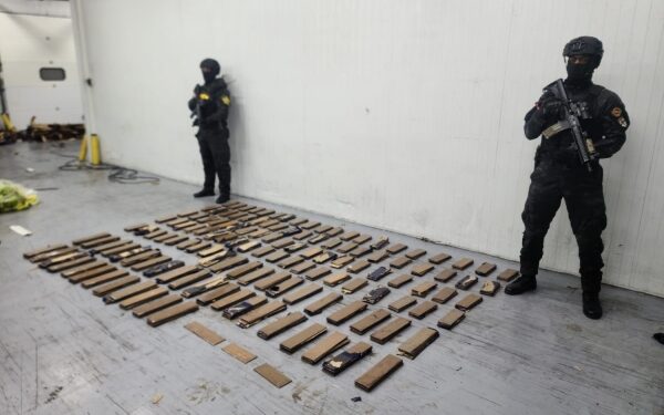 Incautadas 663 láminas de cocaína en Puerto Caucedo