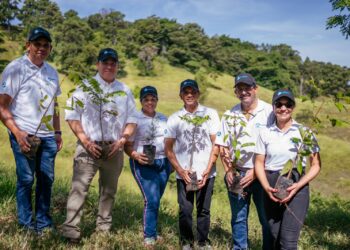 Banco Ademi siembra 3,500 árboles en San José de las Matas junto a Plan Sierra
