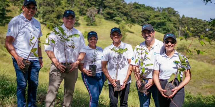 Banco Ademi siembra 3,500 árboles en San José de las Matas junto a Plan Sierra