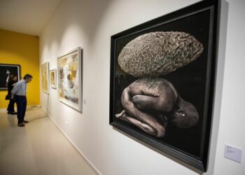 PHOTOIMAGEN 2024: Un viaje visual con más de doscientos artistas internacionales.