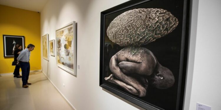 PHOTOIMAGEN 2024: Un viaje visual con más de doscientos artistas internacionales.