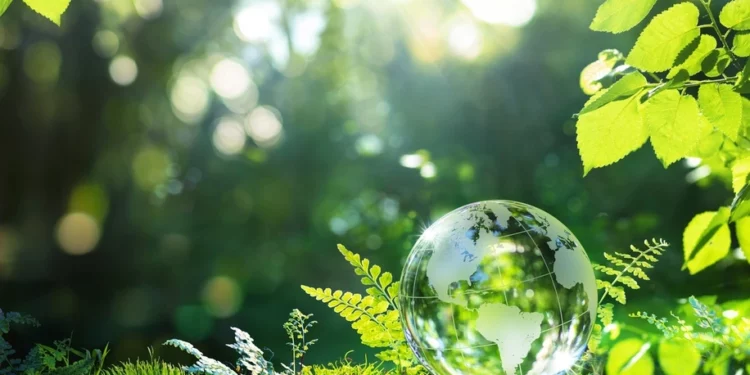 BID Invest lanza red regional para impulsar finanzas sostenibles en América Latina