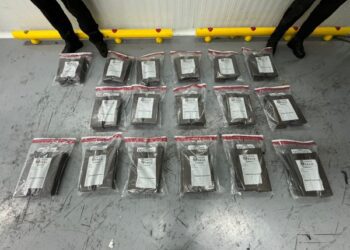 Incautan en Caucedo 204 láminas de presunta cocaína iban para Holanda