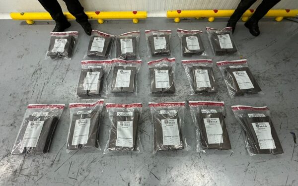 Incautan en Caucedo 204 láminas de presunta cocaína iban para Holanda