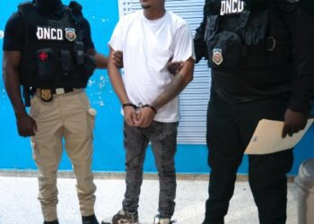 Extraditan dominicano a Puerto Rico por venta ilegal de armas