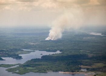 Incendios en Amazonía desatan tormentas más violentas