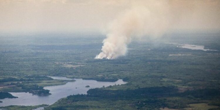 Incendios en Amazonía desatan tormentas más violentas