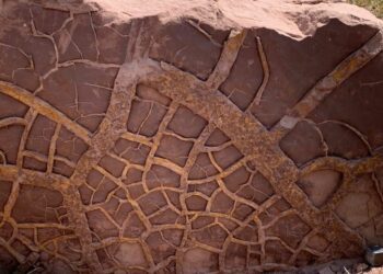 Mega El Niño: clave en la mayor extinción masiva de vida