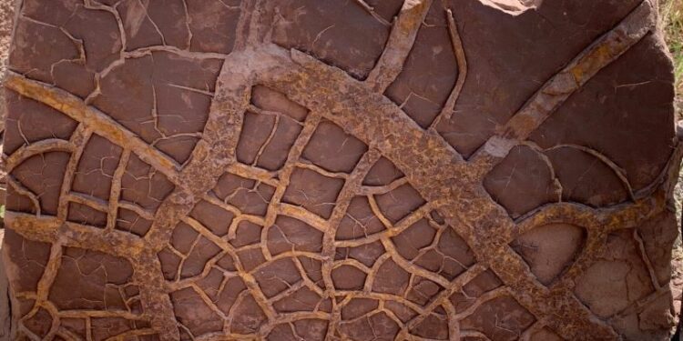 Mega El Niño: clave en la mayor extinción masiva de vida