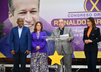 PLD cuestiona reformas propuestas por el Gobierno, advierte sobre impacto fiscal