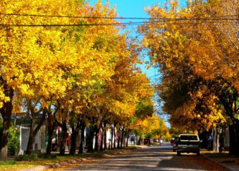 Comienza el otoño: sus principales características