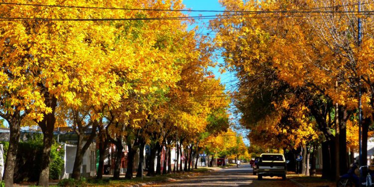 Comienza el otoño: sus principales características