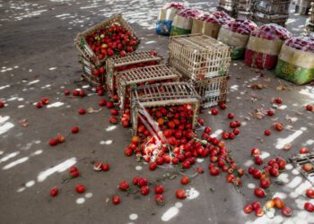 El Desperdicio de alimentos agrava las crisis alimentaria y climática