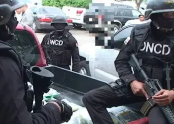 Operación Arrecife 2.0 desmantela gran red criminal