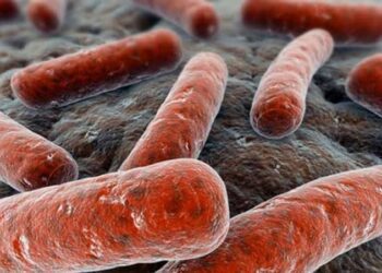 Tuberculosis vuelve a ser asesino mundial número uno