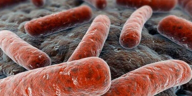 Tuberculosis vuelve a ser asesino mundial número uno