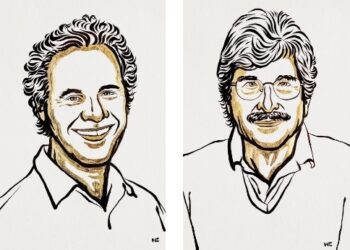 Premio Nobel de Medicina 2024 revela el poder oculto del microARN