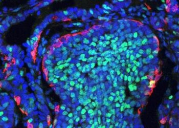 Sorprendente descubrimiento podría ser clave en la lucha anticáncer