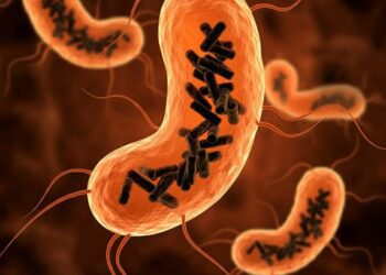 Descubren una nueva entidad biológica que habita en el cuerpo humano 