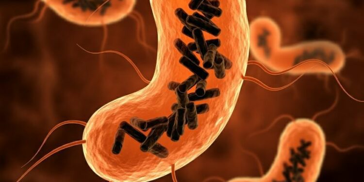 Descubren una nueva entidad biológica que habita en el cuerpo humano