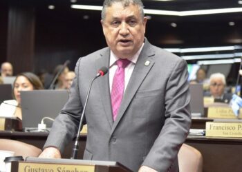 PLD se retira del debate constitucional dominicano