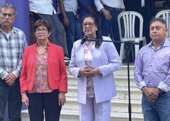 Elecciones locales del PLD culminan con éxito y alta participación