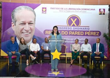 El PLD logra 63.48 % de participación en elecciones internas