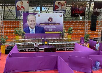 PLD escoge su presidente y secretario general este domingo