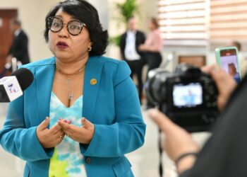 Nurys Paulino impulsará participación ciudadana desde la JCE