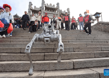 Perros robot realizan pruebas para mantener limpio el Monte Tai eb China
