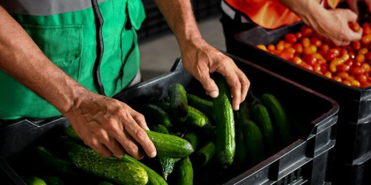 Donativos Ambientales Ford premia proyecto alimentario dominicano