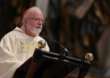 Siete cardenales piden perdón por abusos y errores históricos del clero
