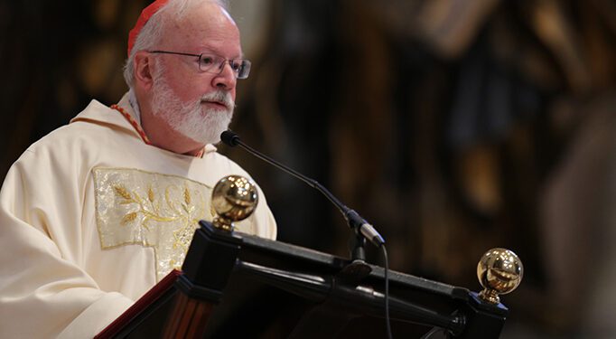 Siete cardenales piden perdón por abusos y errores históricos del clero
