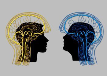 El bilingüismo temprano mejora la eficiencia cerebral y la conectividad neuronal