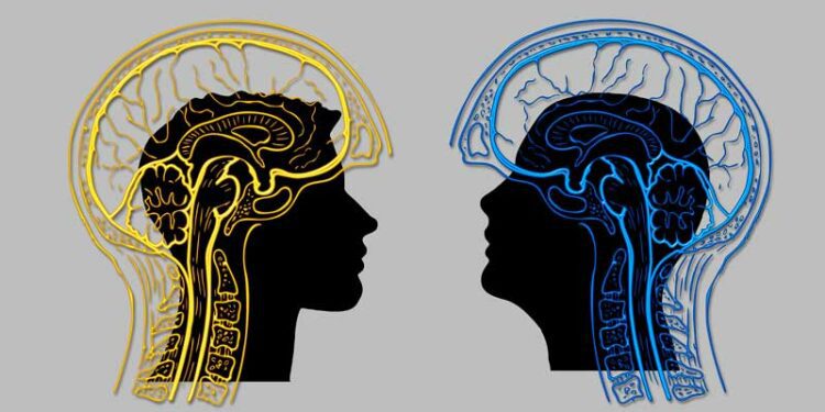 El bilingüismo temprano mejora la eficiencia cerebral y la conectividad neuronal